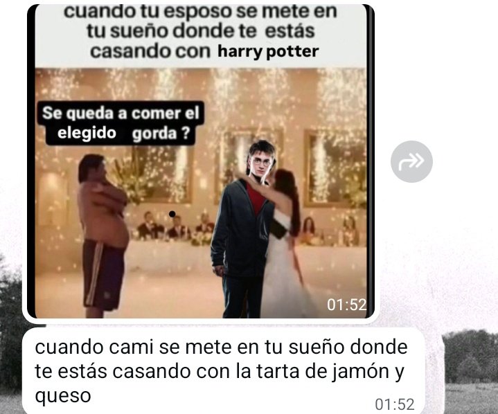 gia 🪩 tweet media