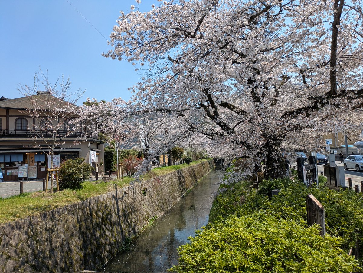 Tadashi Kaneyama tweet media