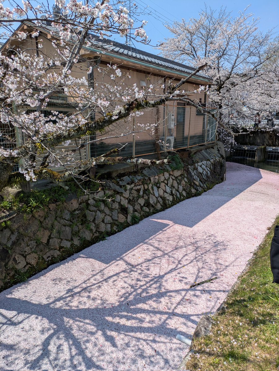 Tadashi Kaneyama tweet media