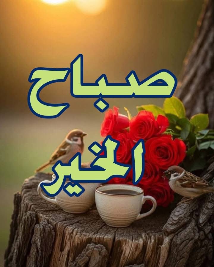 عامر كامل tweet media