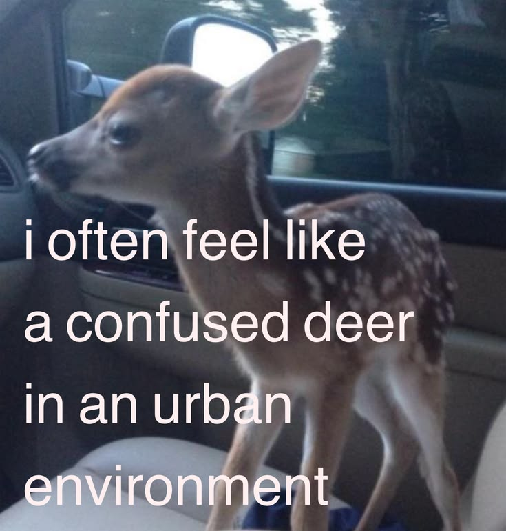 John fawn tweet media