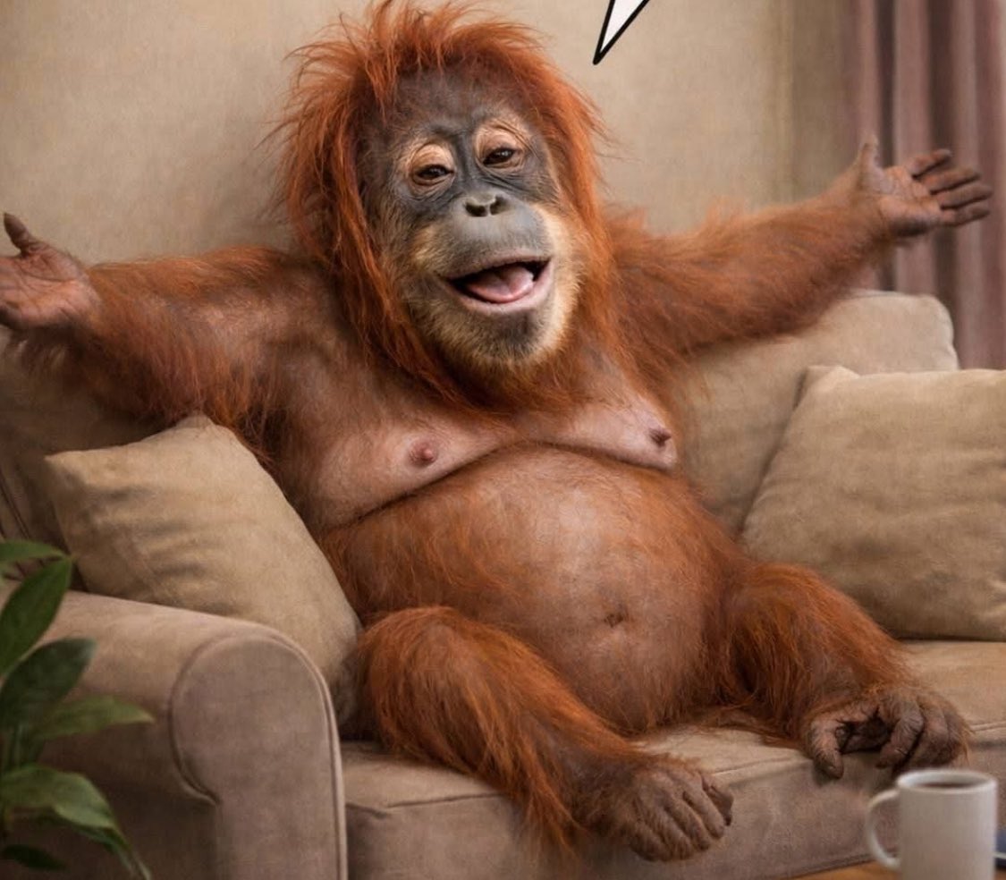 Gary Sharman tweet media