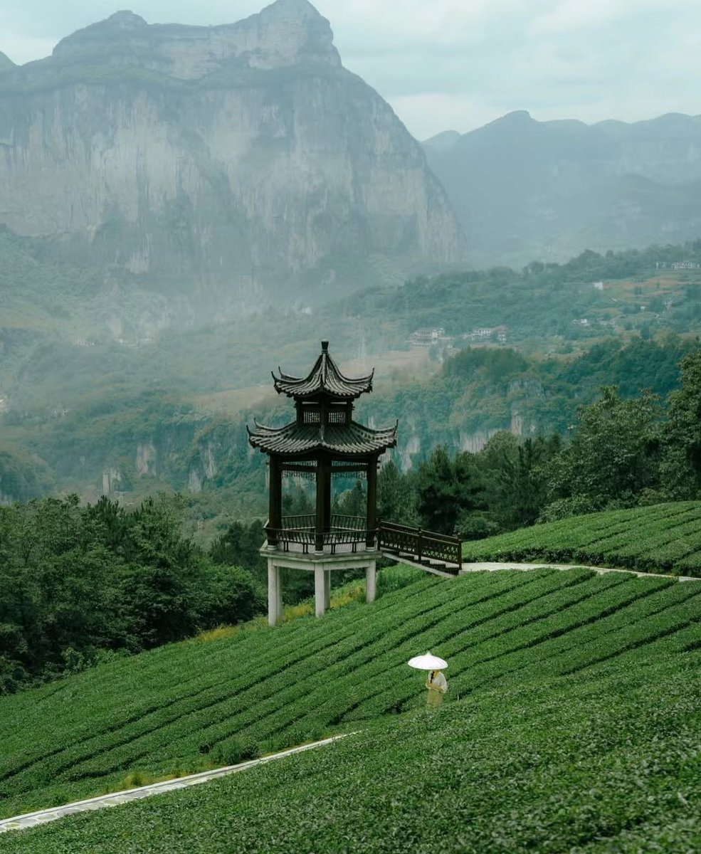 Beauty Explorer tweet media