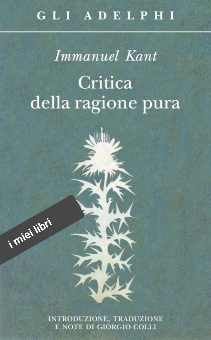 antonello quartaroli 🇵🇸 tweet media