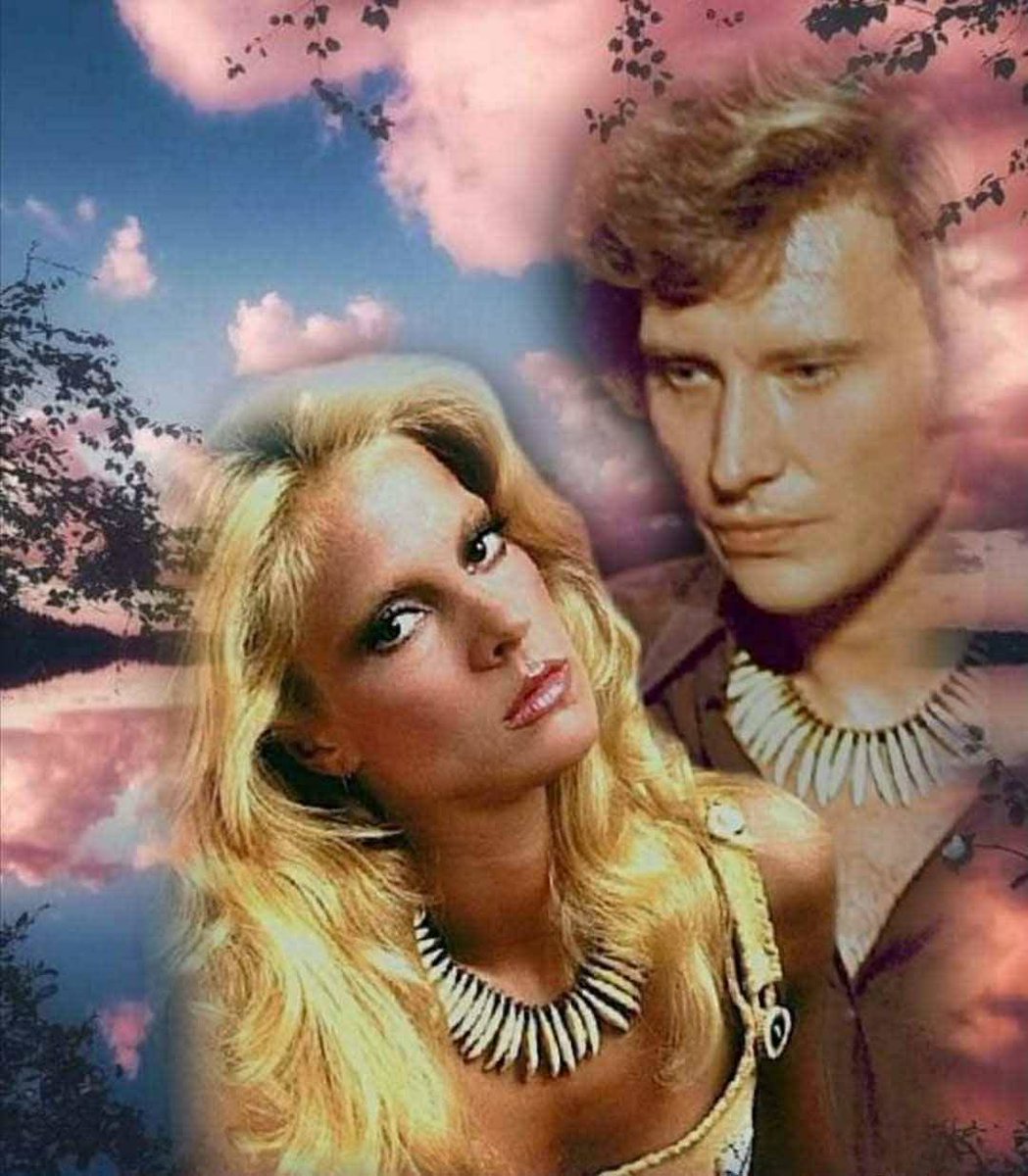 cottereau chantal tweet media