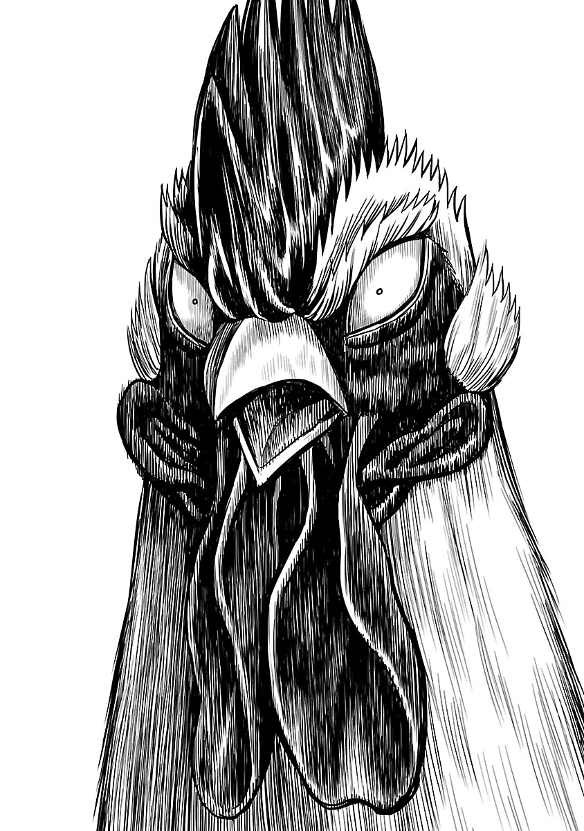 ニワトリ・ファイター【公式】4/5(日)TVアニメ放送開始！ tweet media