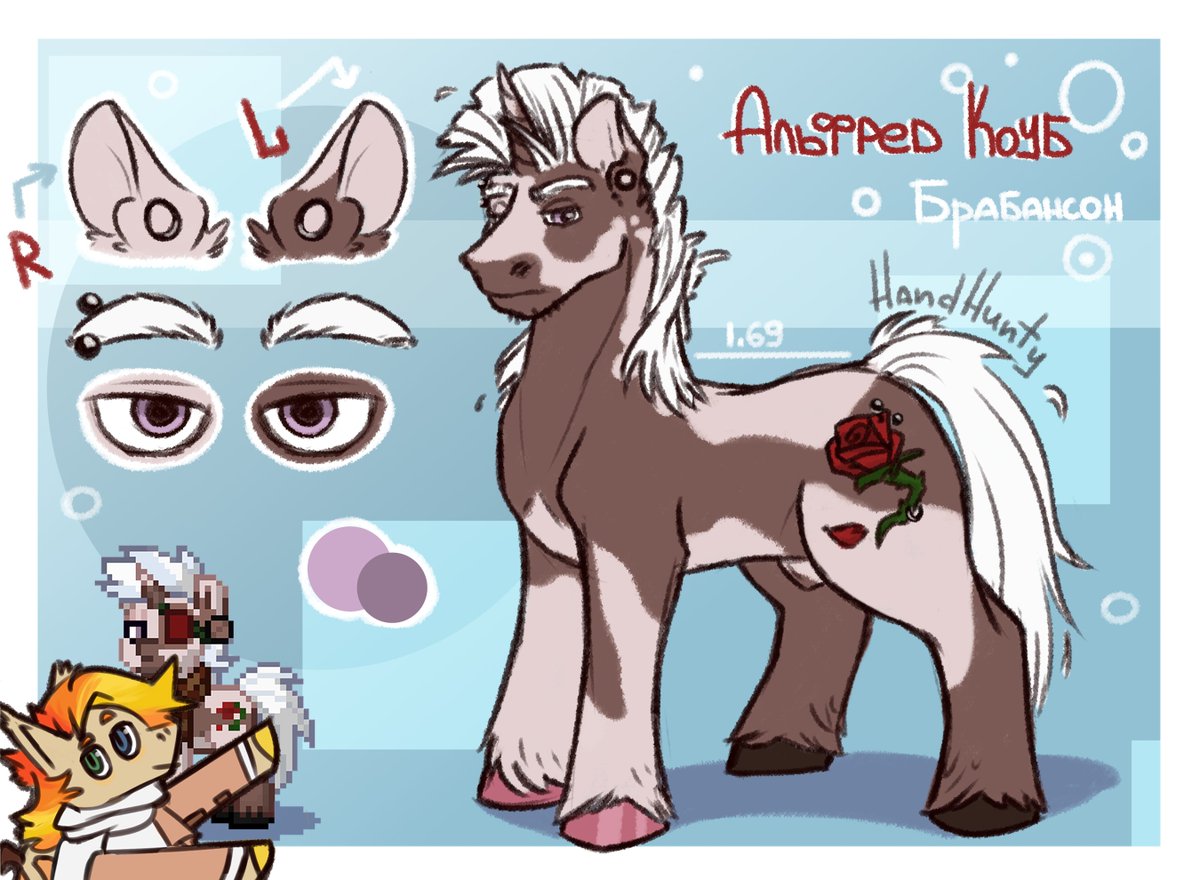 Larry Sunvits tweet media