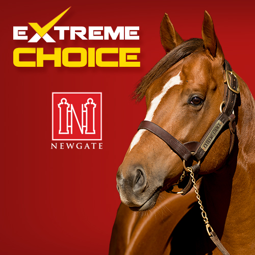 Newgate tweet media