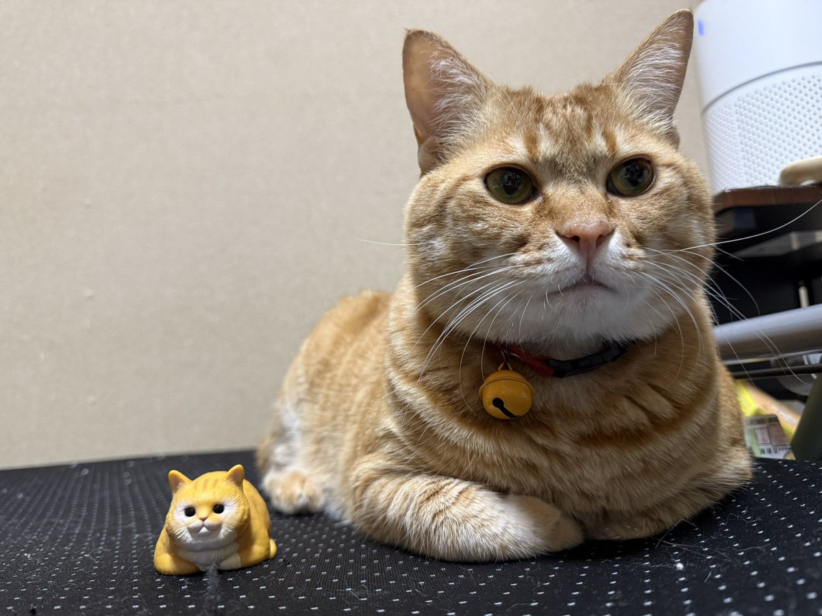 ゆ(´･_･`) tweet media