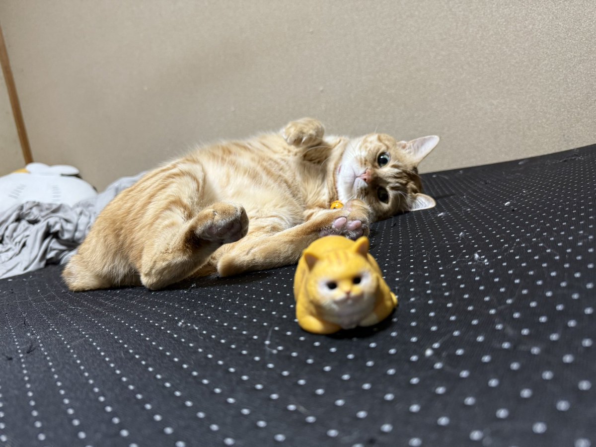 ゆ(´･_･`) tweet media