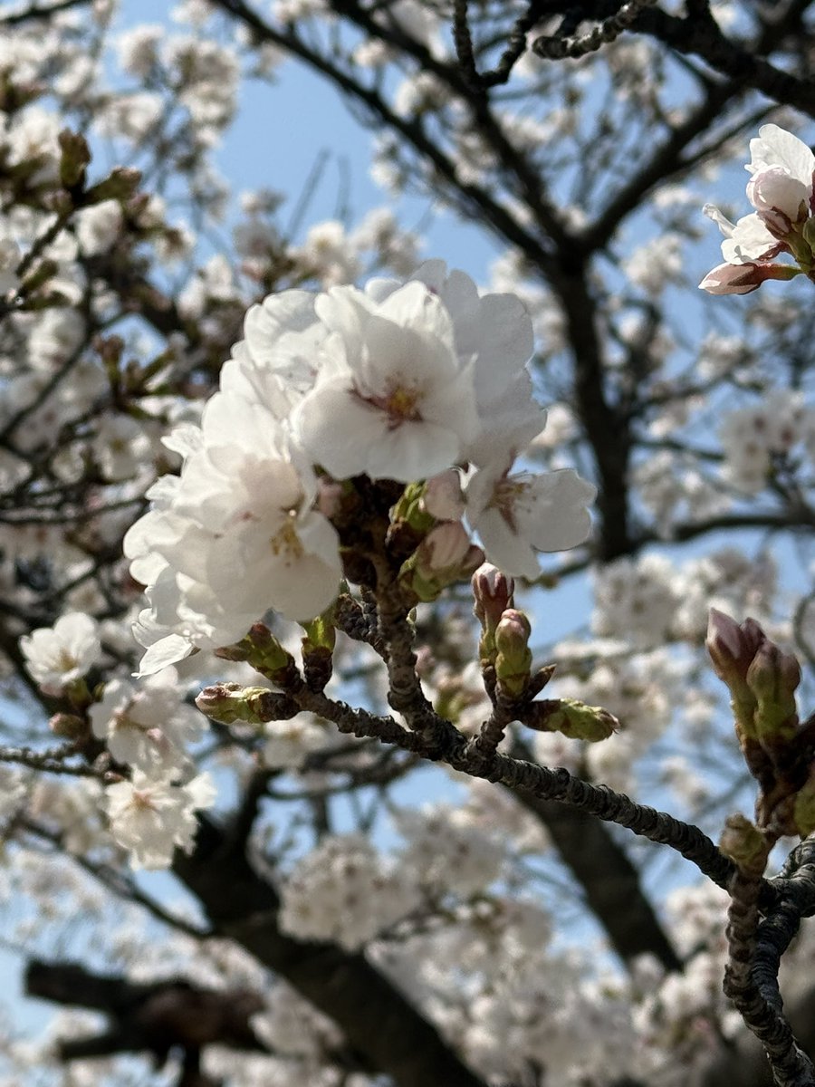 じゅん🎀 tweet media