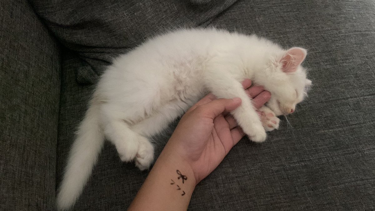 vian🔛🔝 tweet media