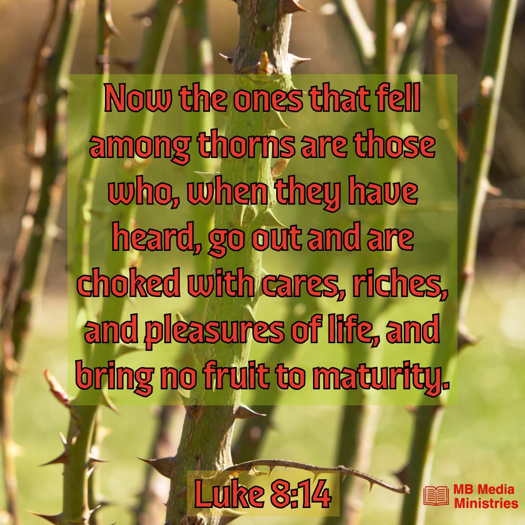 tweets_mb's tweet image. Don’t let the cares and worldly distractions of this life allow the word of God to become fruitless…

#Cares #WordOfGod #Riches