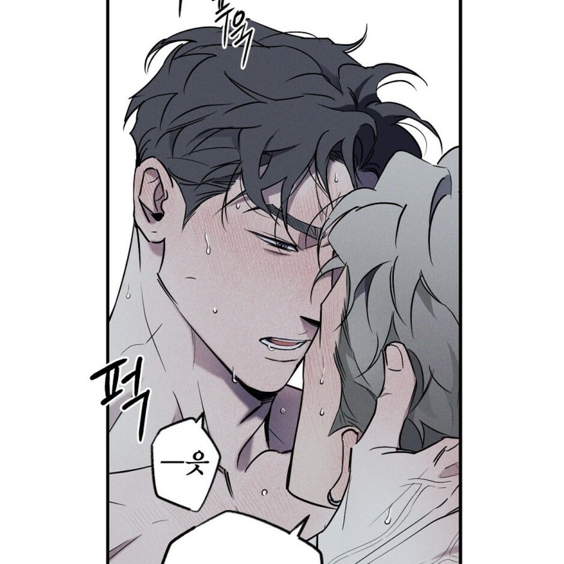 𝐇𝐚𝐧𝐚🦊🫩 tweet media