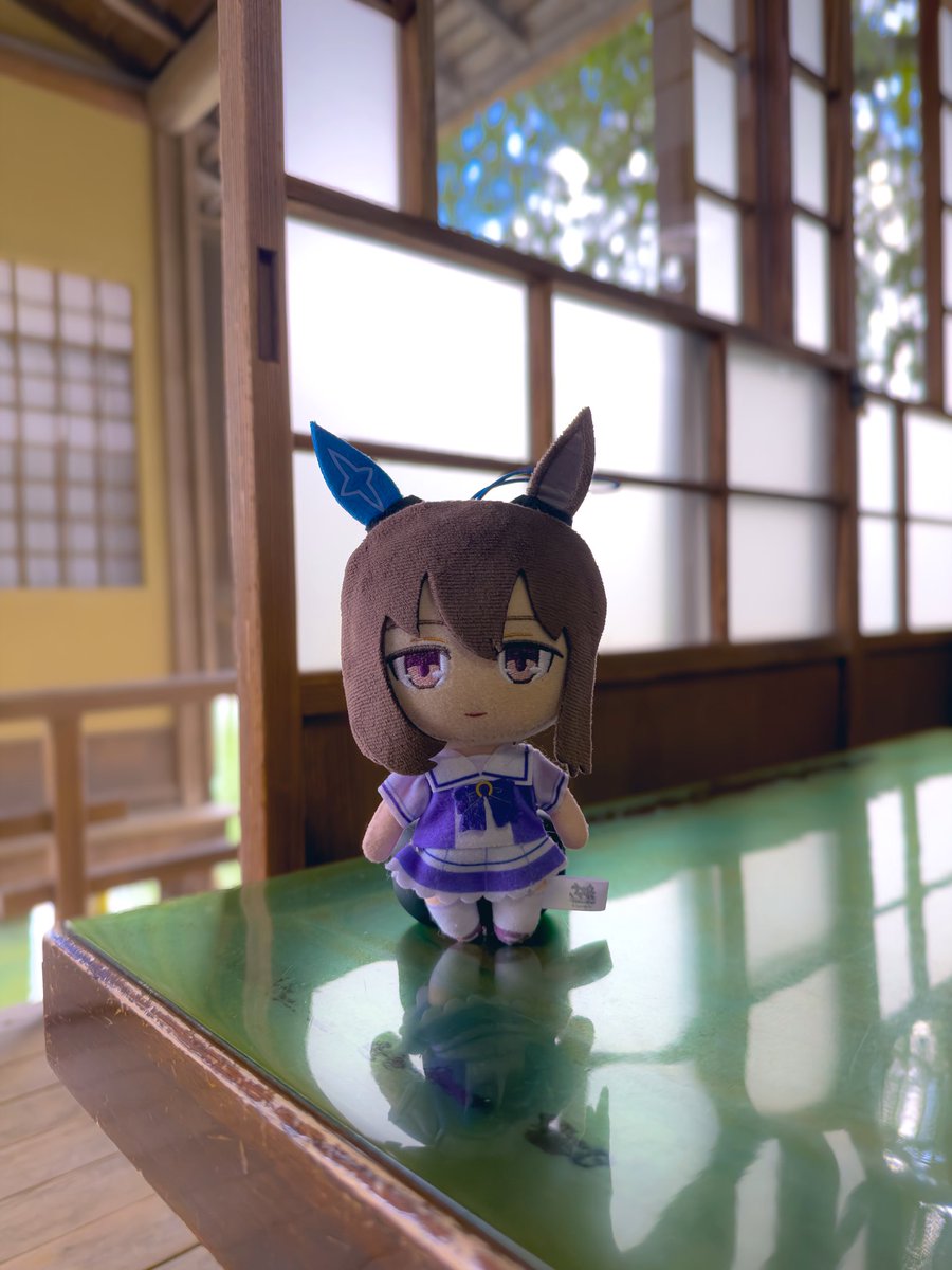 ぶるーぷ (@bloop_beast) on Twitter photo 