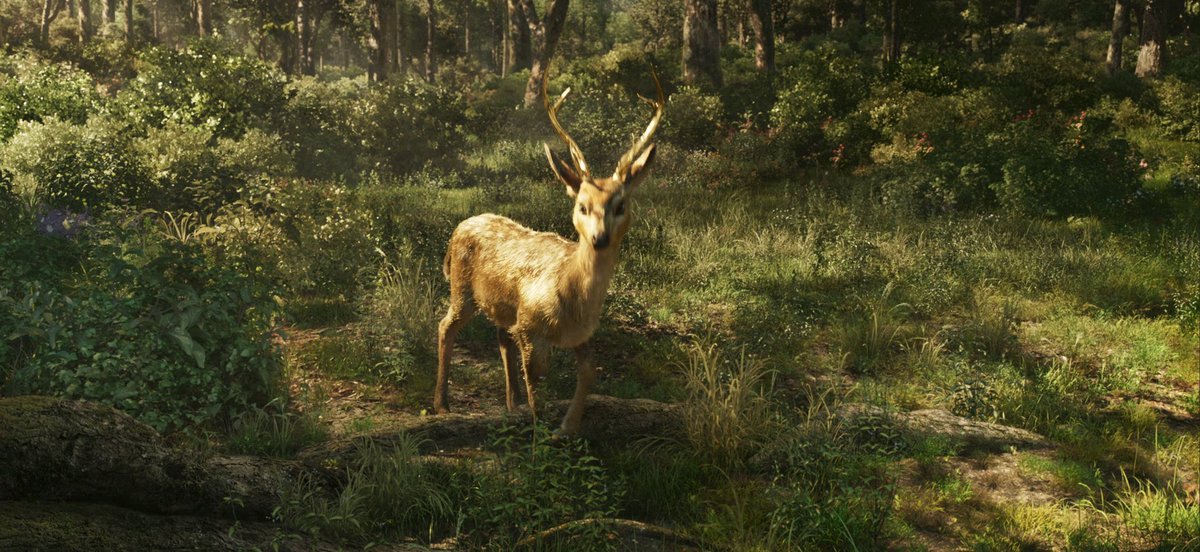 CineRanker tweet media