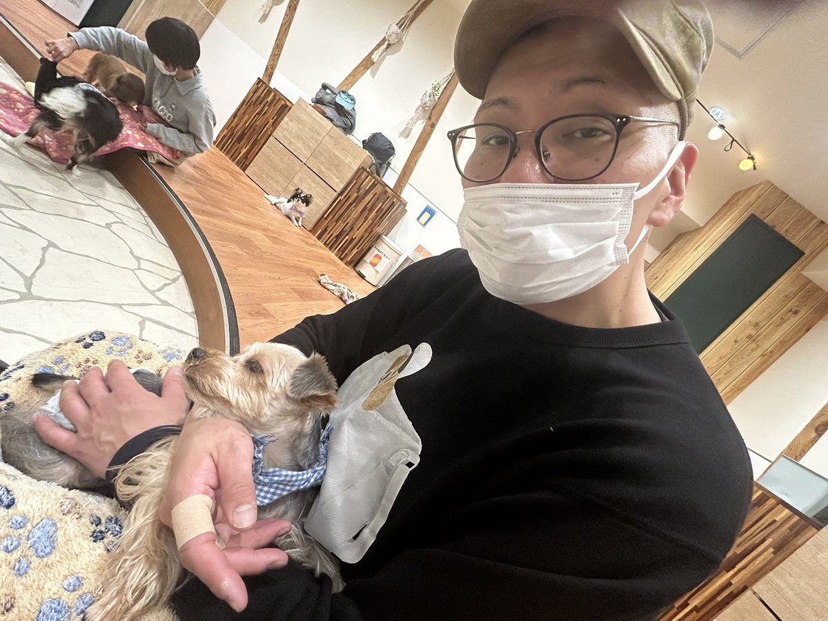 吉成豊 tweet media