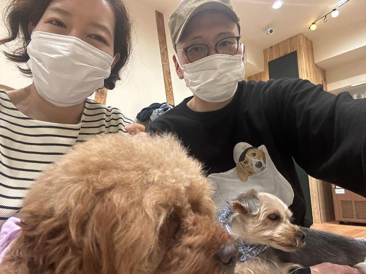 吉成豊 tweet media