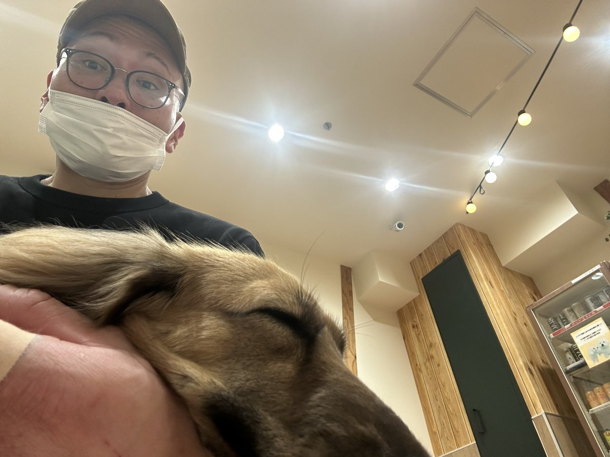 吉成豊 tweet media