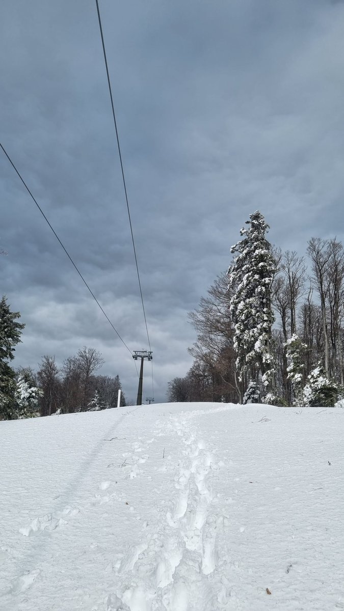 StanSteps tweet media