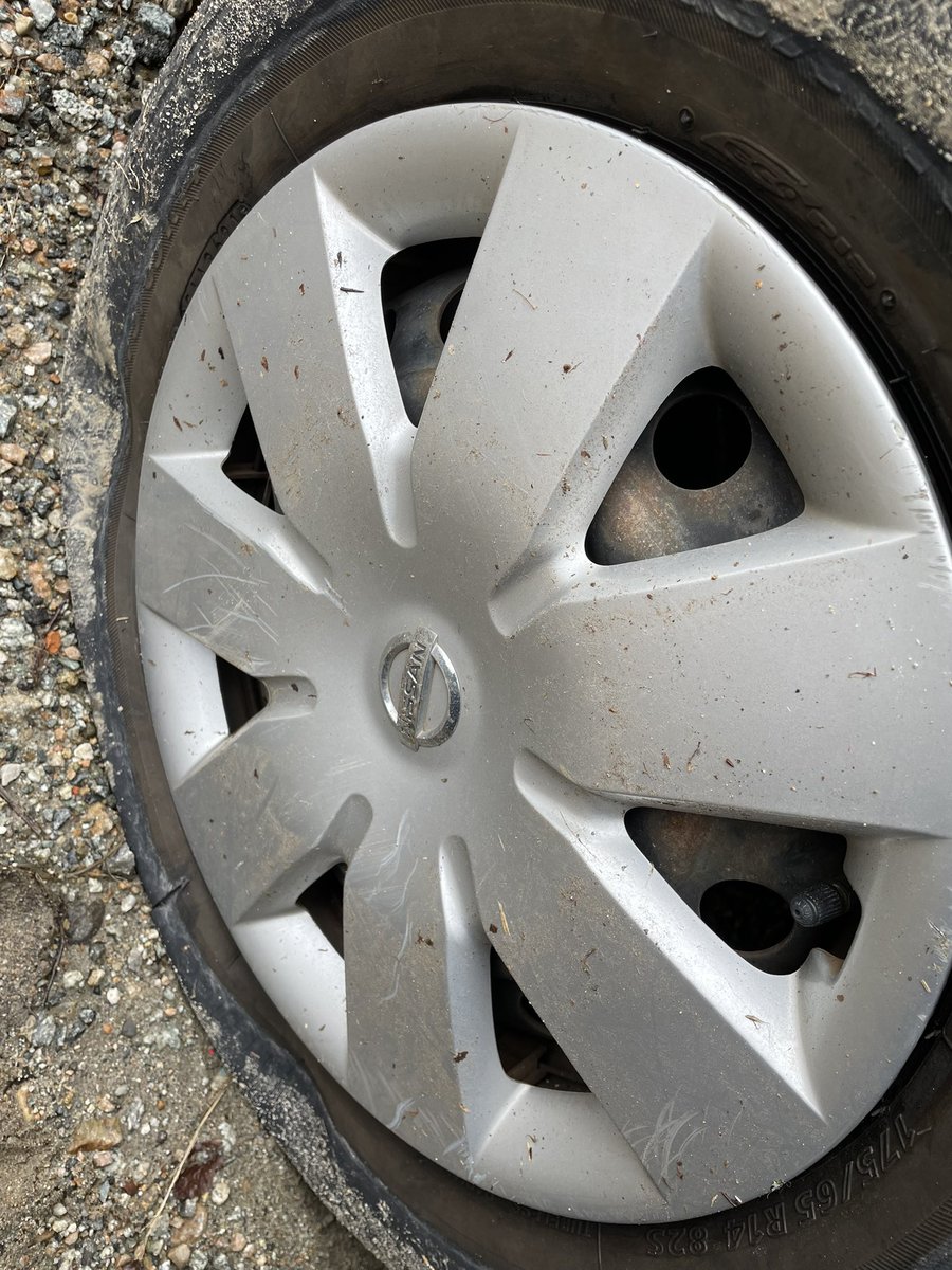 大学生アングラーるぽん tweet media