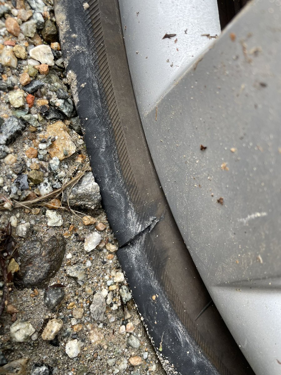 大学生アングラーるぽん tweet media