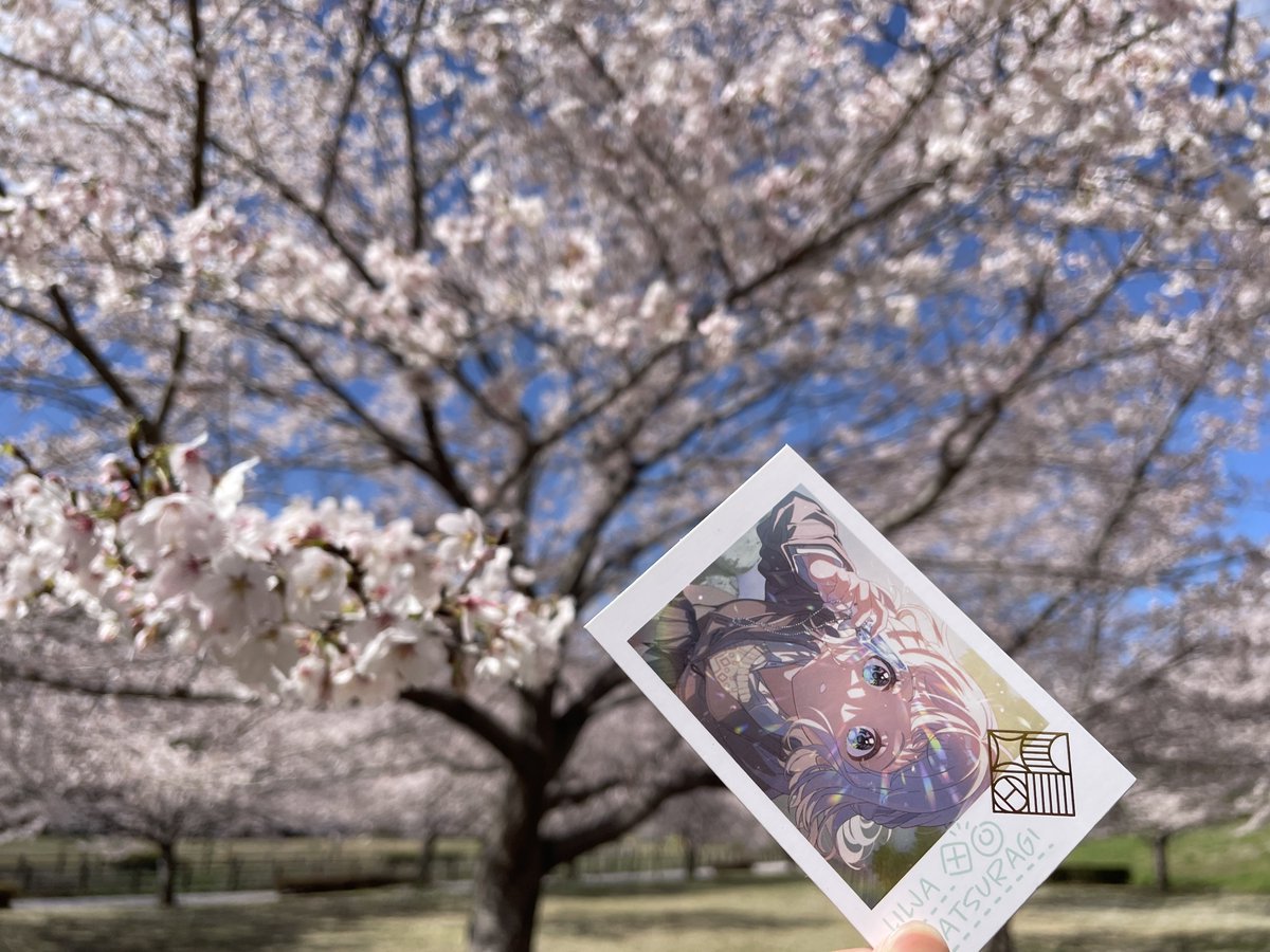 ぐんみに tweet media