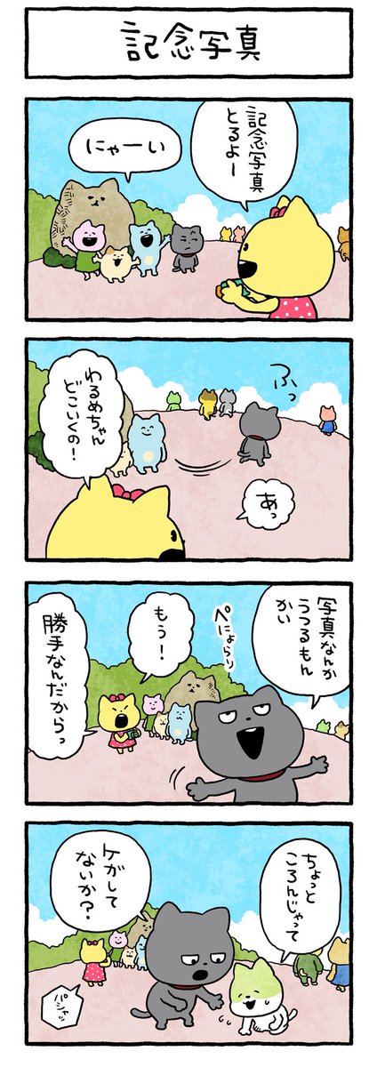 わるめのねこです。
#わるめのねこ #記念写真
#ねこ #いたずら
#にしむらゆうじ 