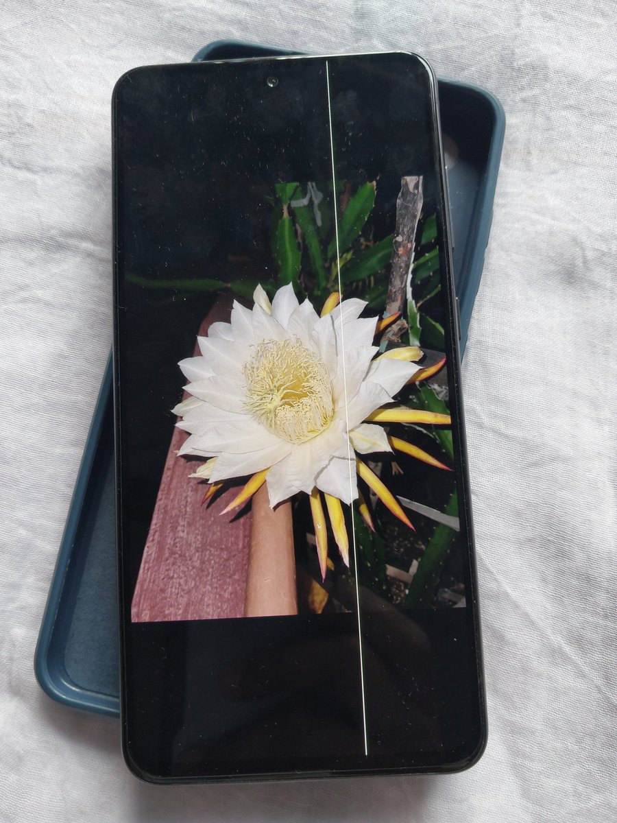 BSayan86409's tweet image. Pause. Screenshot. Decide. 👀

Mine landed on:
“Green line issue again — pay ₹10,900.”

No damage, second time, and still no guarantee it won’t happen again.

Why upgrade when existing customers are dealing with this?
#GreenLineIssue #SamsungIndia #SamsungSupport #UnfairPolicy