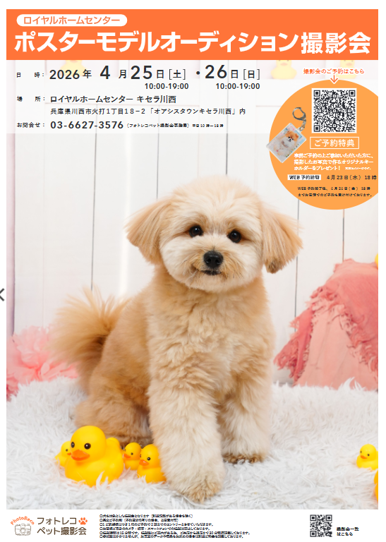 🔴🔴🔴🔴🔴🔴🔴🔴🔴🔴 🐶ポスターモデルオーディション 撮影会の