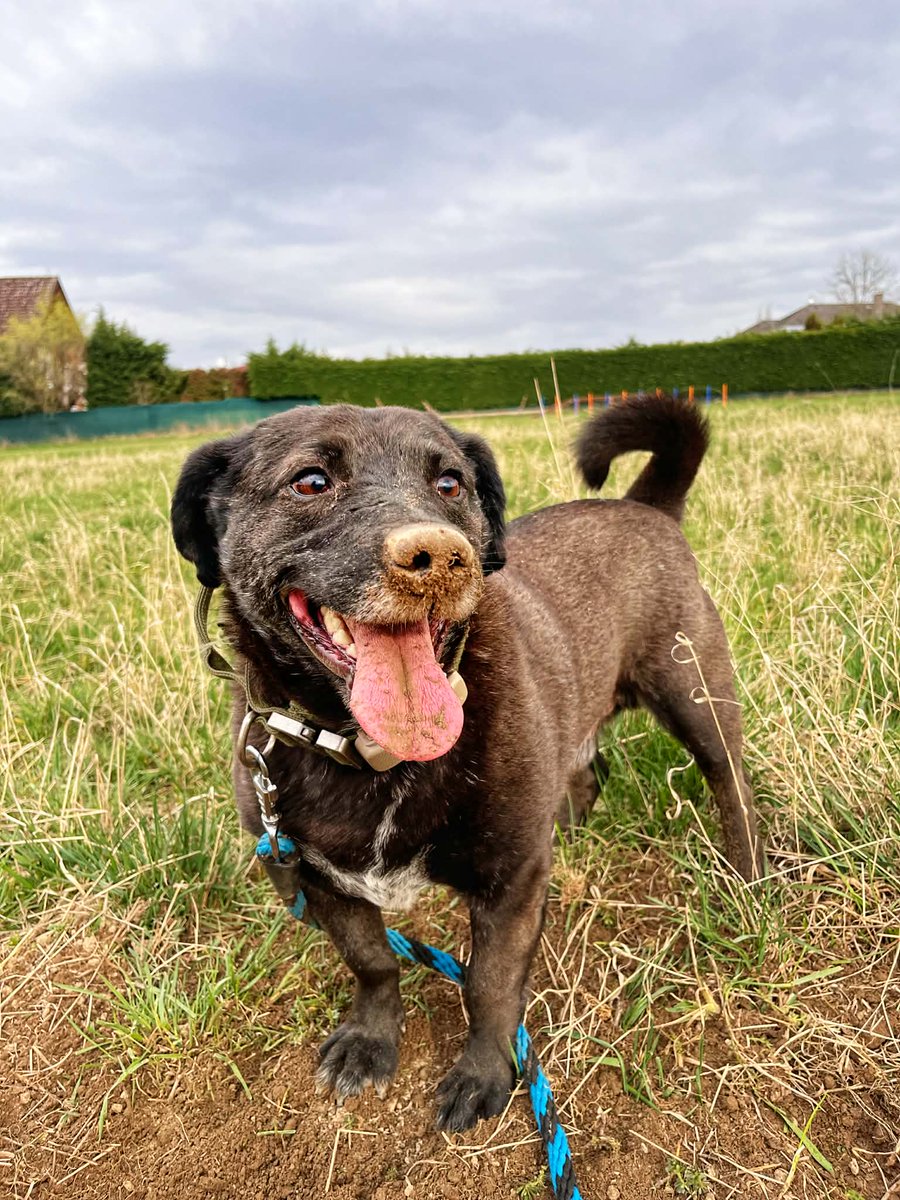 Velký princ 🌲 tweet media