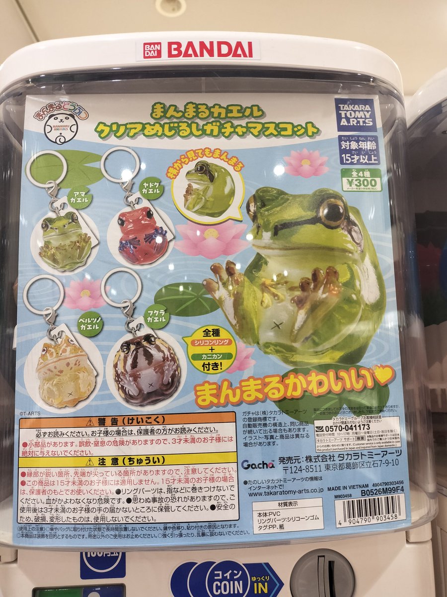 アメフクラガエルの星矢 tweet media