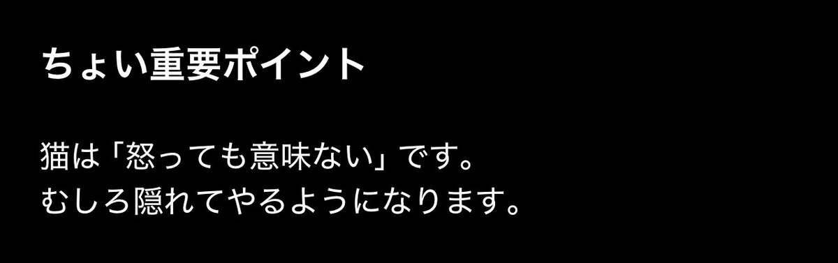 どら猫龍星 tweet media