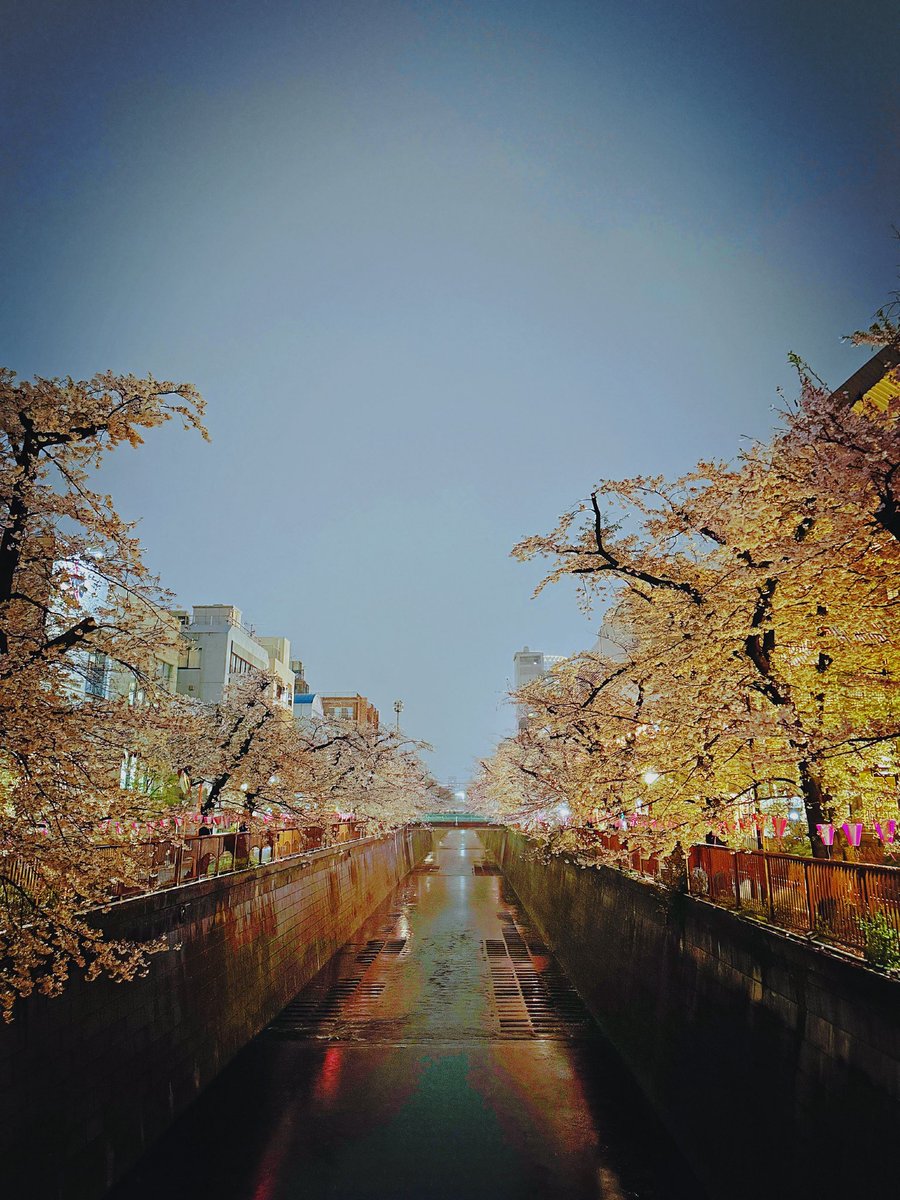 大阪ワンマンツアーまで、あと“16日”。

4月に入り、あと約2週間となりました！
初大阪ワンマンライブ、皆さまにお会いできるの、とても楽しみにしております🎙️

▽ 〈4/18(土曜)大阪ライブチケット〉
hiit-factory.stores.jp/items/6996809a…

#hillsパン工場