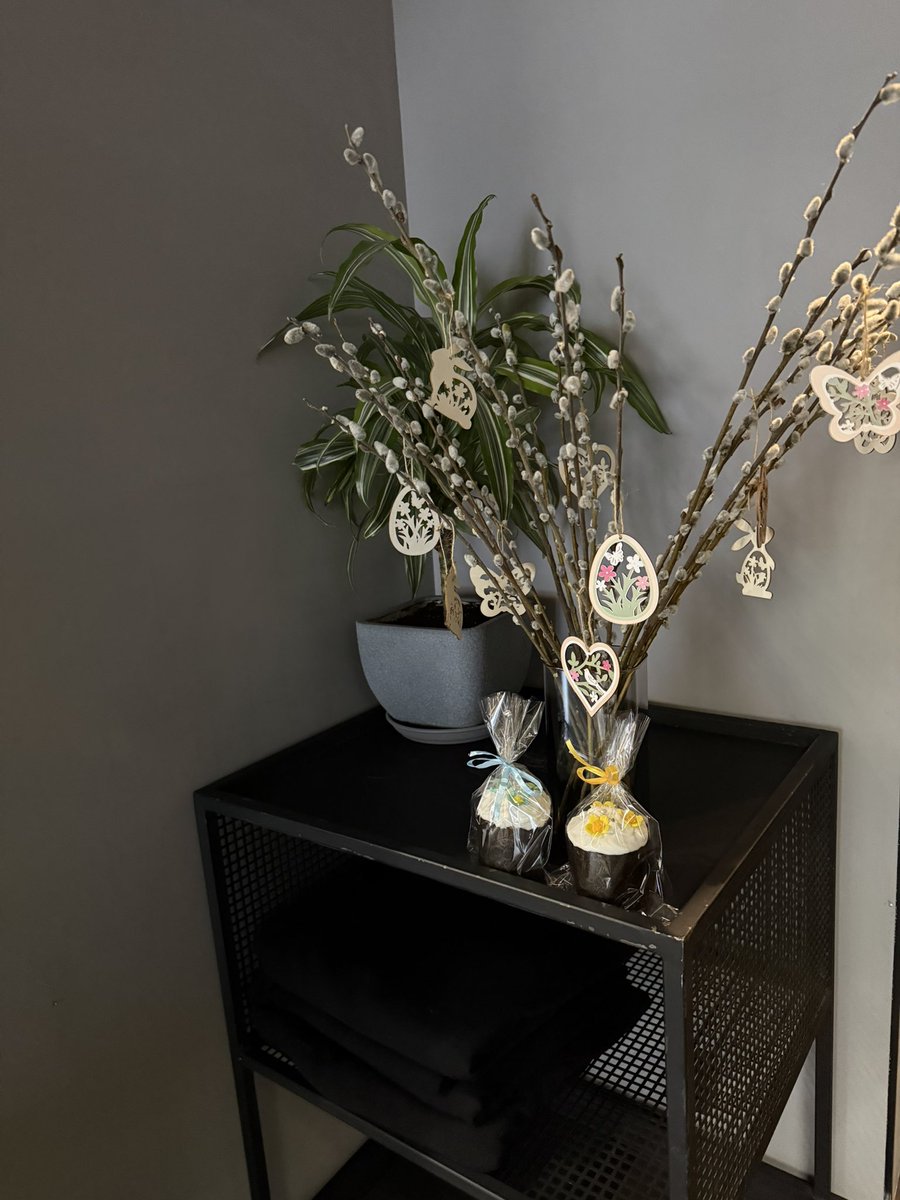 Alec Pohibko tweet media