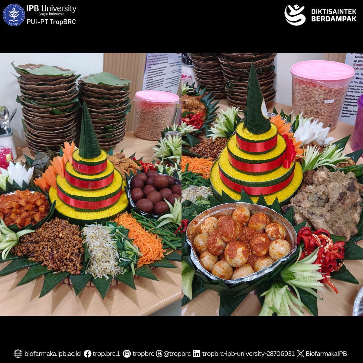 TropBRC IPB tweet media
