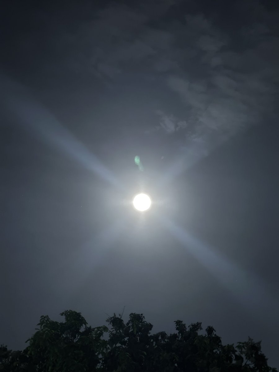 Ankushh_01's tweet image. #pind