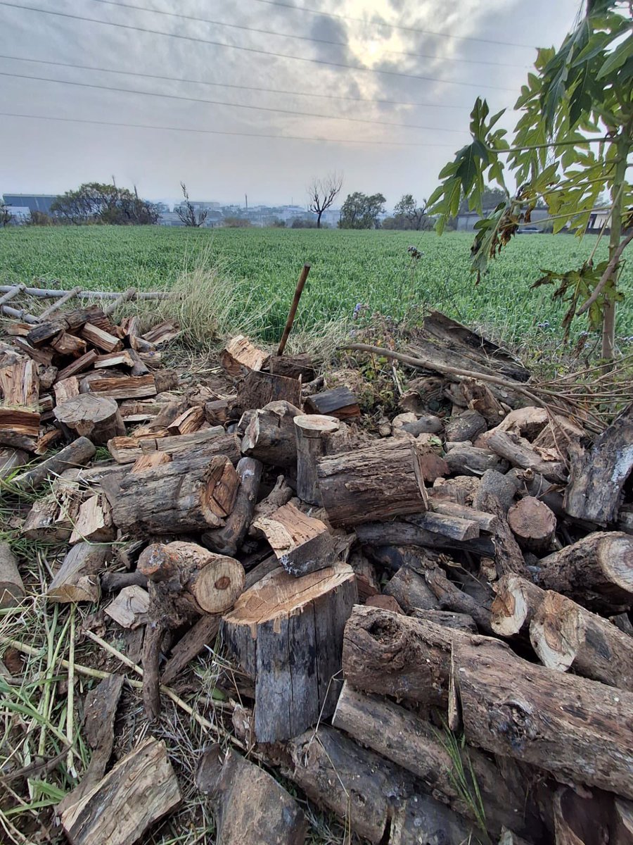 Ankushh_01's tweet image. #pind