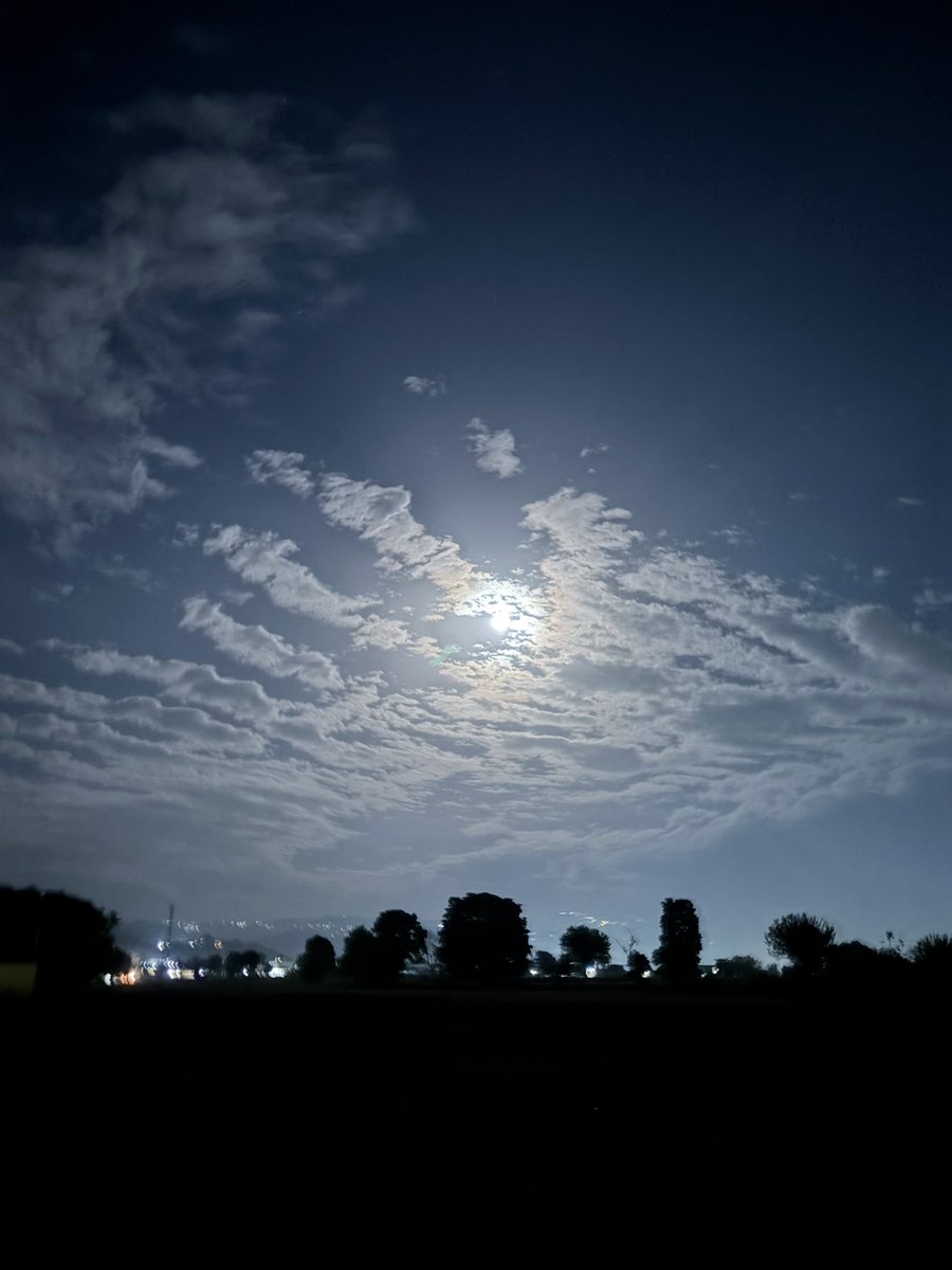 Ankushh_01's tweet image. #pind