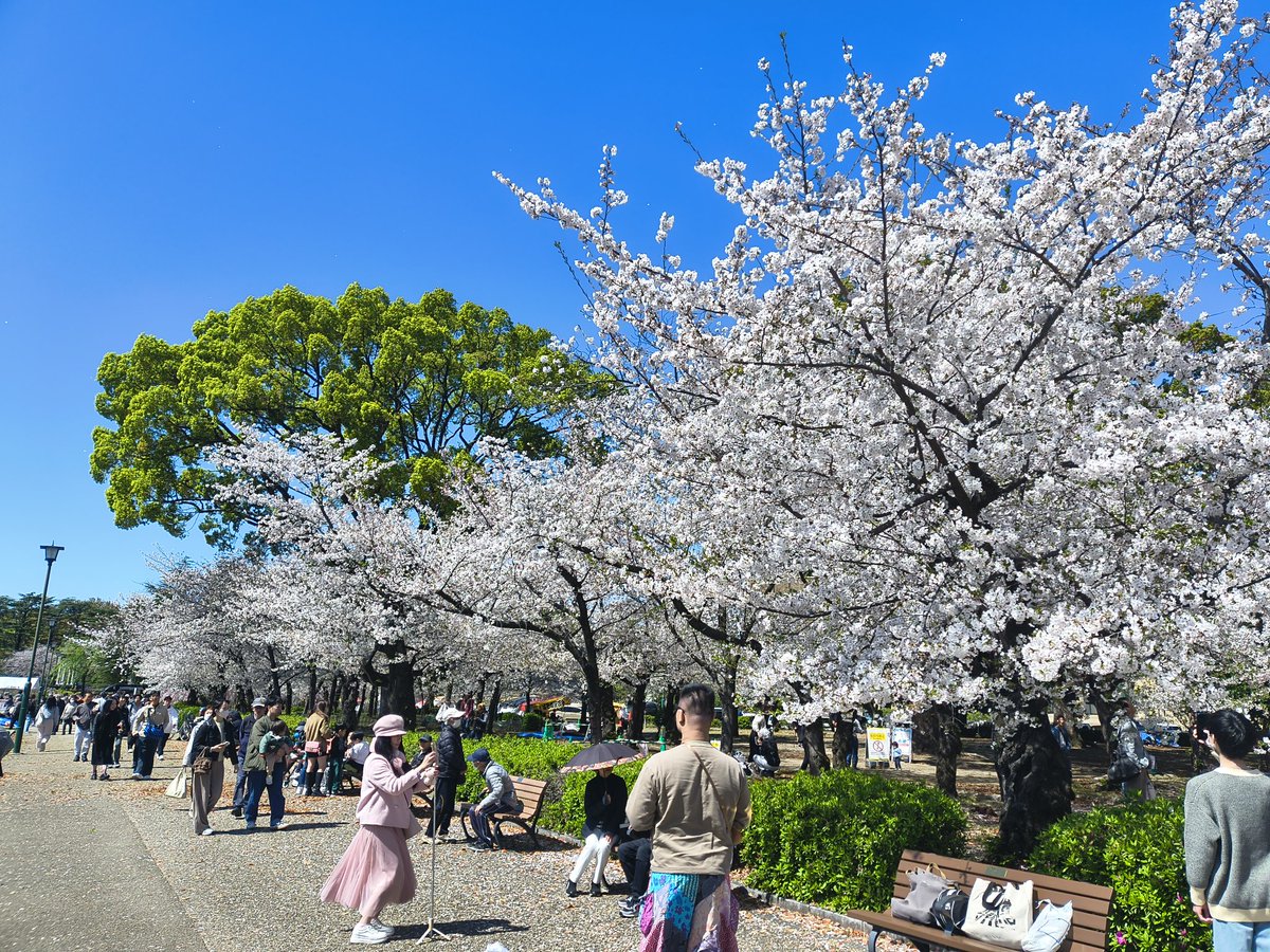 亂中有序。 tweet media