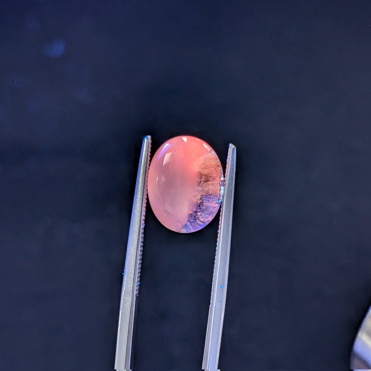 Star-38【公式】4/3 - 4/5 名古屋ミネラル ショー★吹上ホール★ tweet media