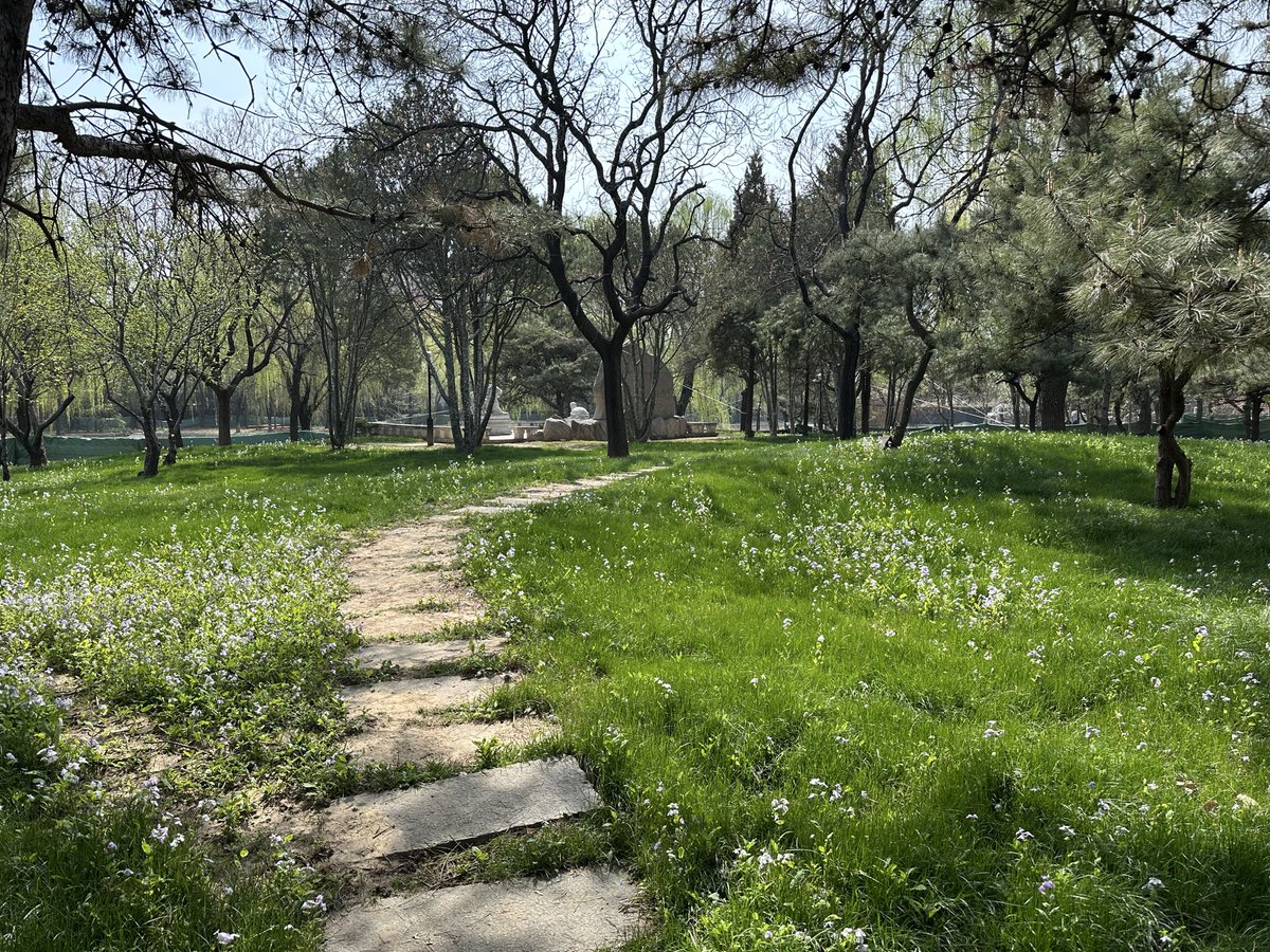 Daniel Constantine tweet media