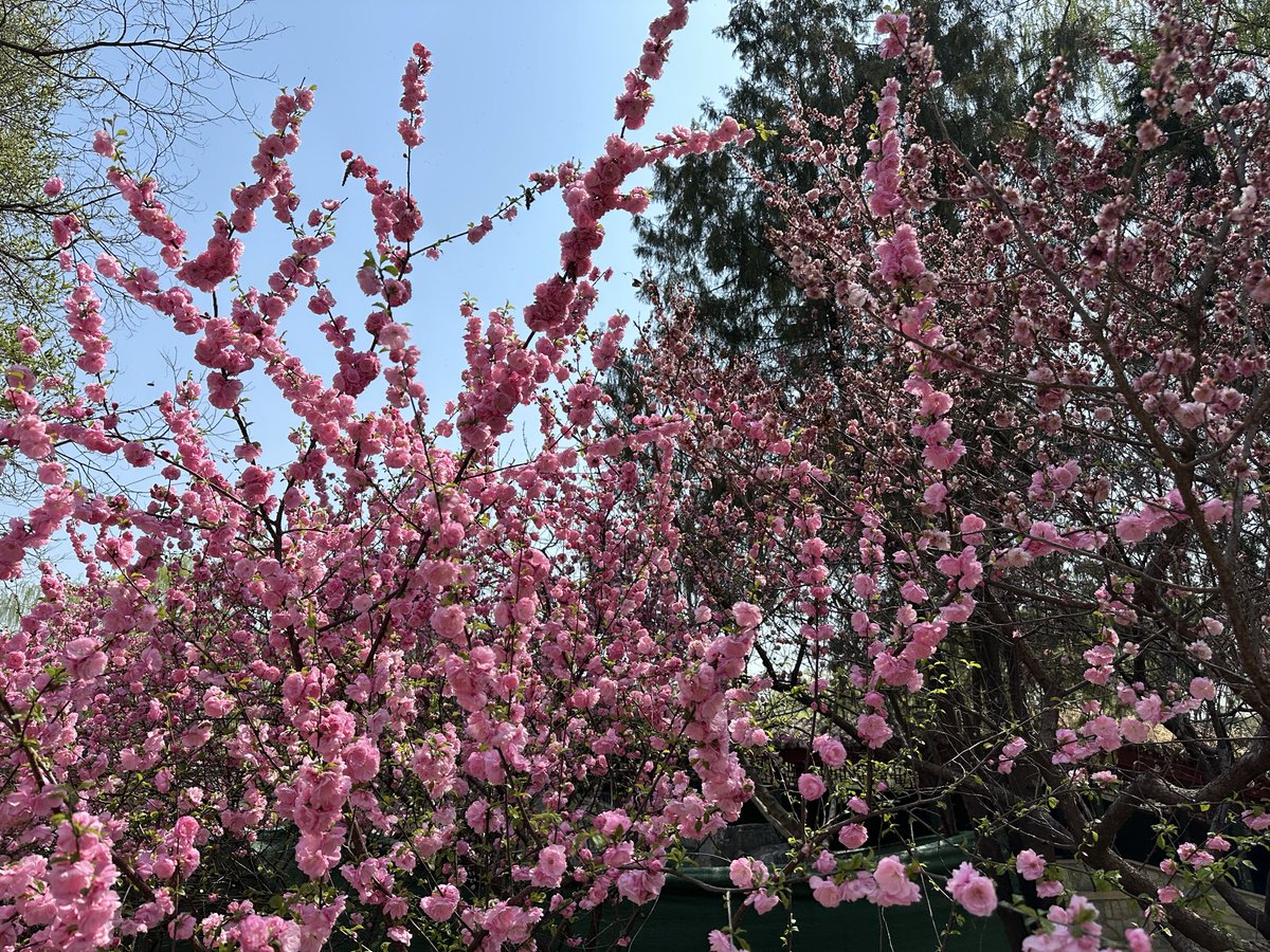 Daniel Constantine tweet media