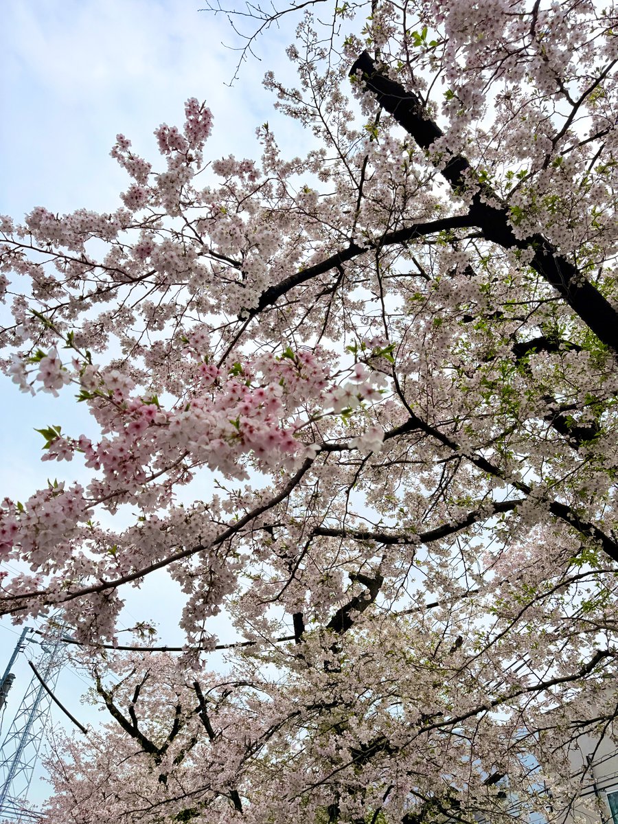 北村 圭吾 tweet media