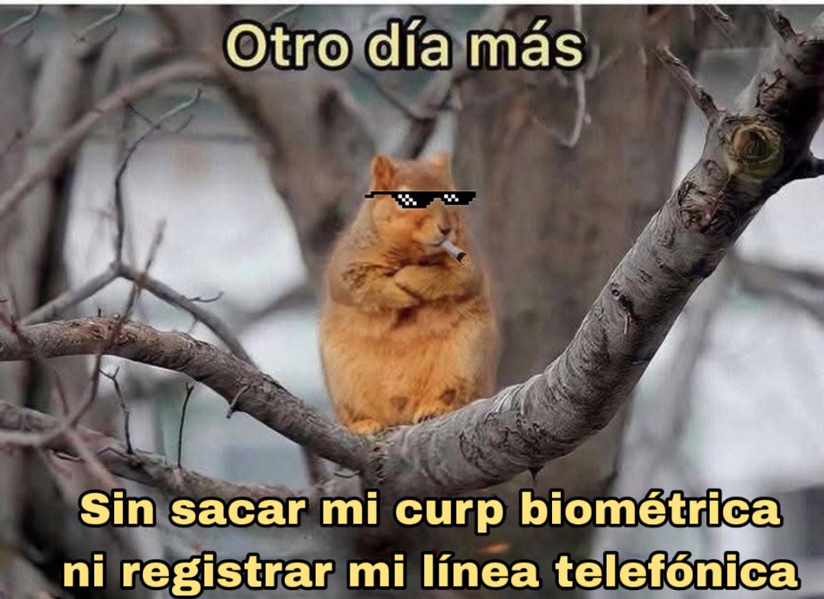 Arturo Villegas tweet media