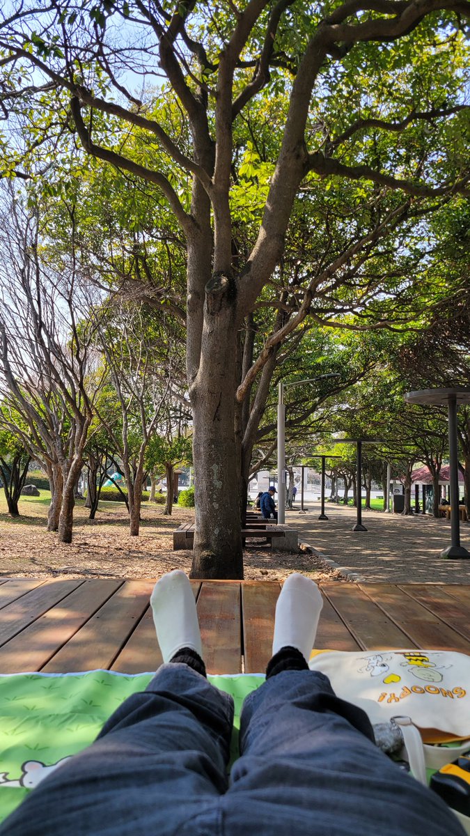 Bee__ji's tweet photo. 아..
피크닉 좋다
이대로 잠들고싶다
근데 약간 춥다 https://t.co/P89X6MV6q9