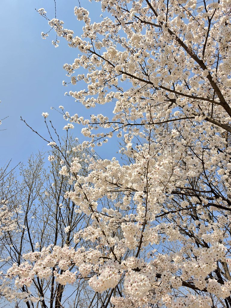 일상다반사 tweet media