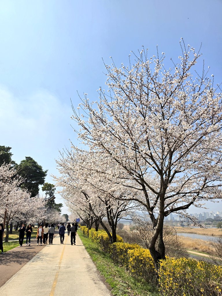 일상다반사 tweet media