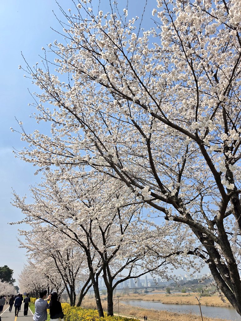 일상다반사 tweet media