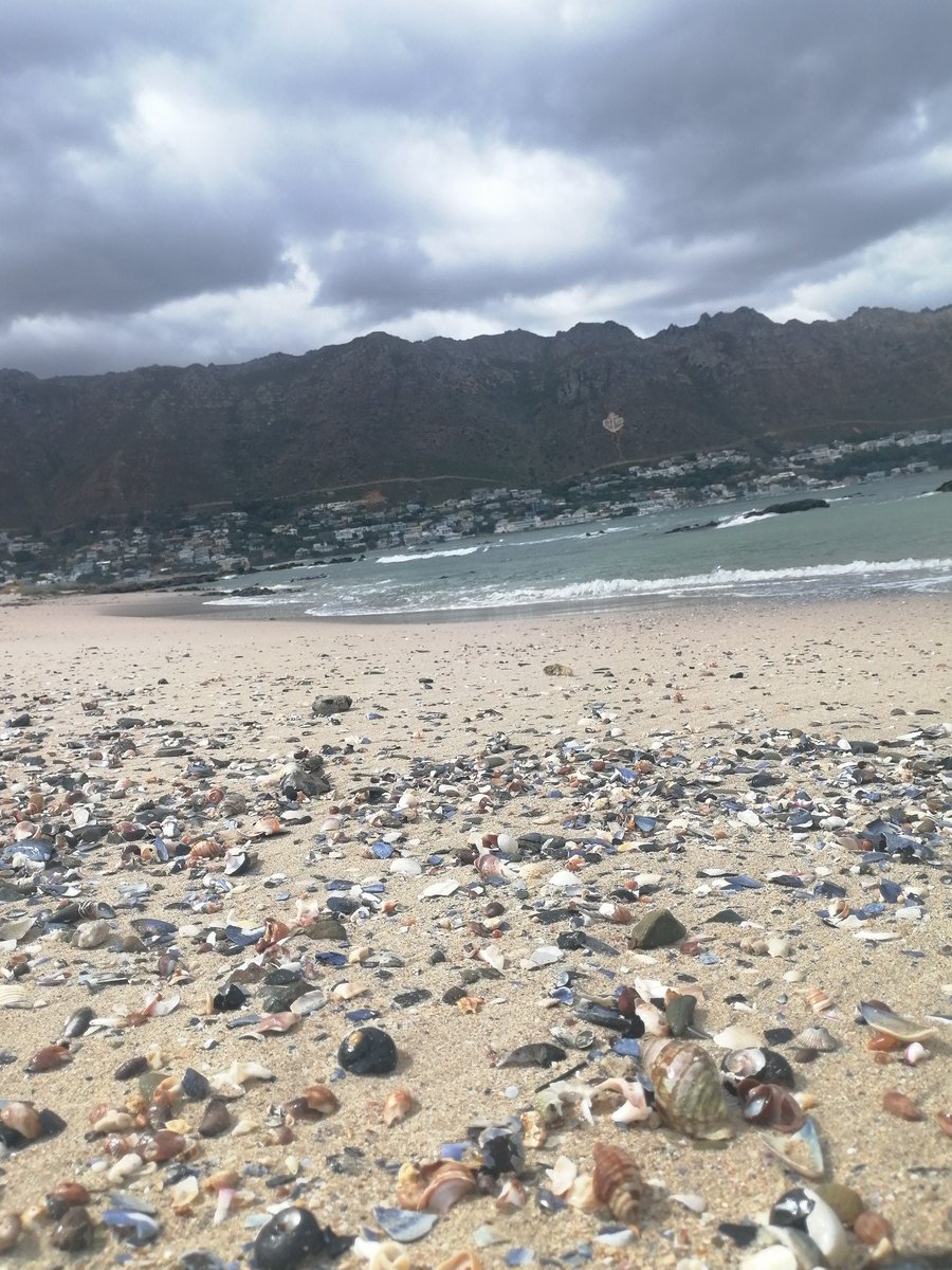 Mufasa007 tweet media